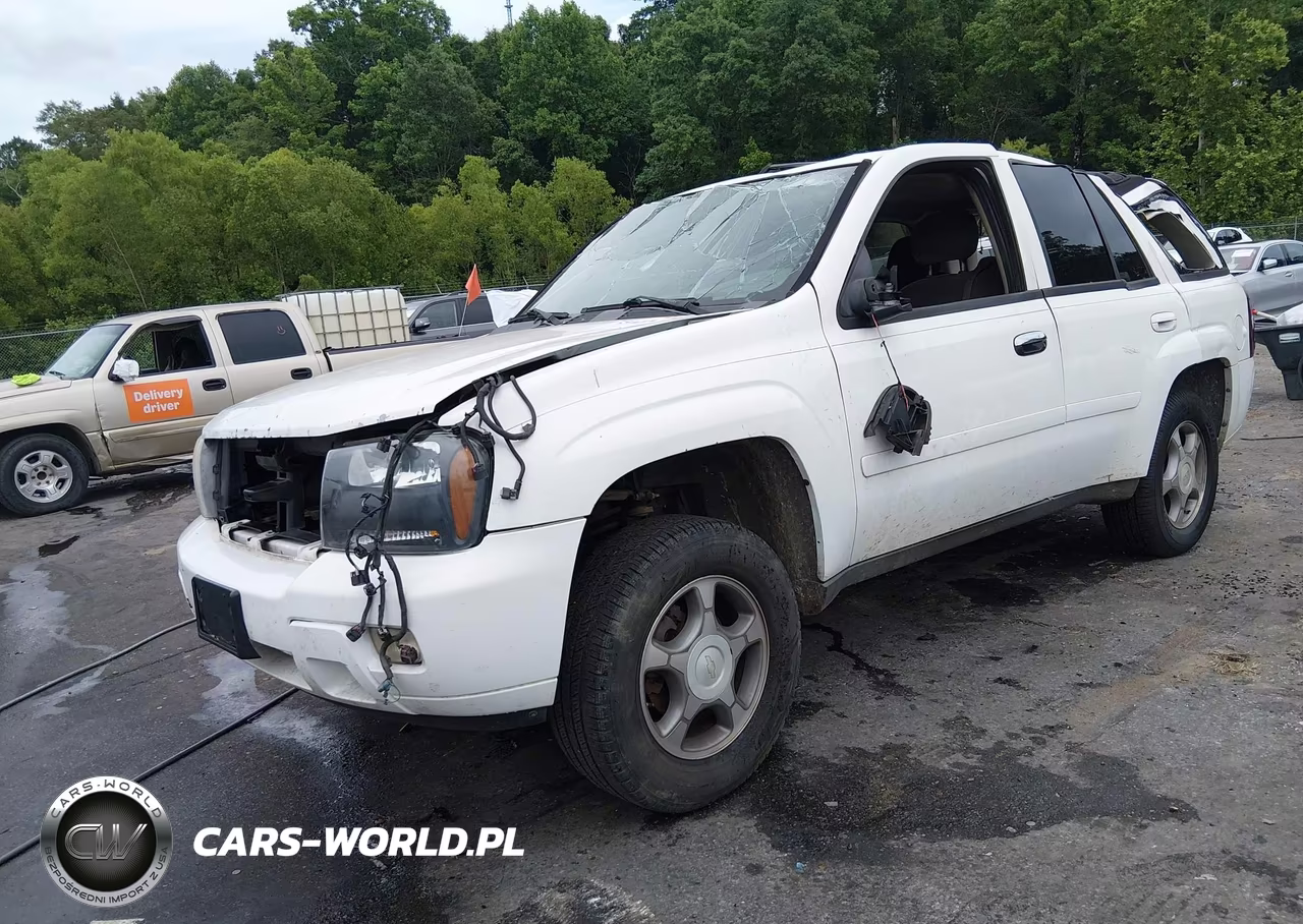2009 Chevrolet Trailblazer Lt VIN:1GNDS33SX92107379 - 2