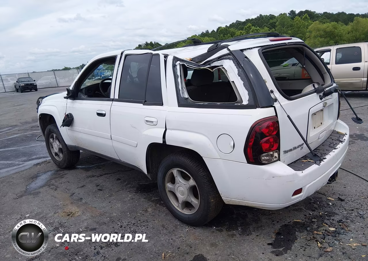 2009 Chevrolet Trailblazer Lt VIN:1GNDS33SX92107379 - 3