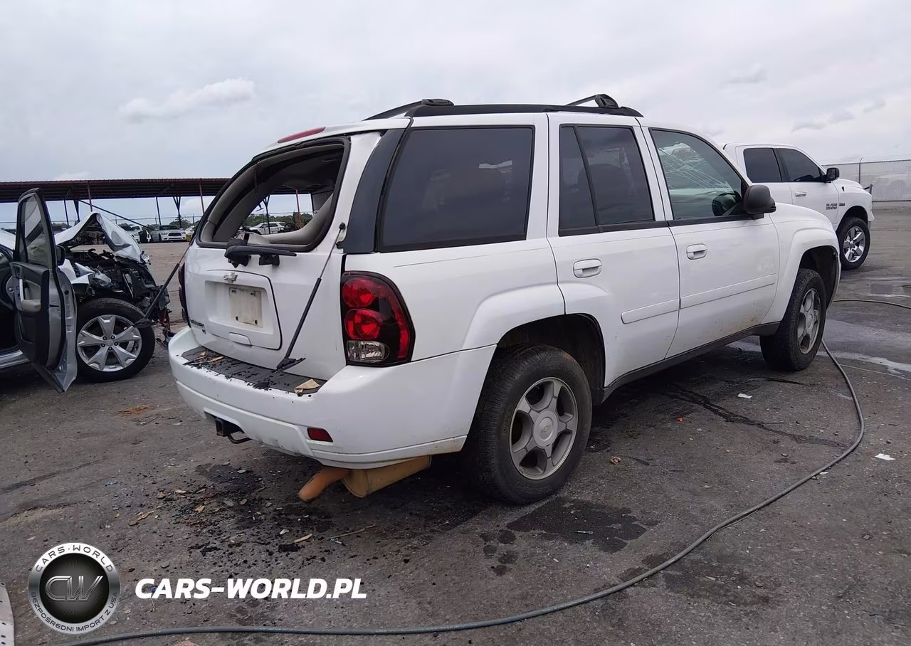 2009 Chevrolet Trailblazer Lt VIN:1GNDS33SX92107379 - 4