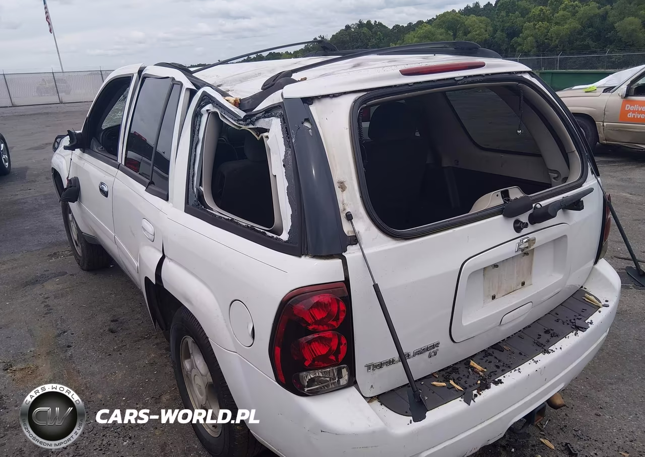 2009 Chevrolet Trailblazer Lt VIN:1GNDS33SX92107379 - 6