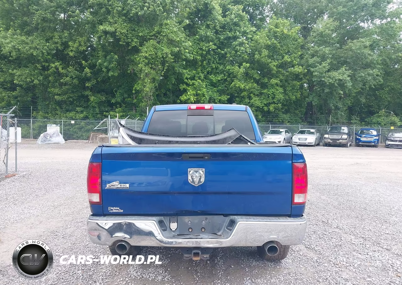 2010 Dodge Ram 1500 Slt-Sport-Trx VIN:1D7RB1CT0AS118154 - 16