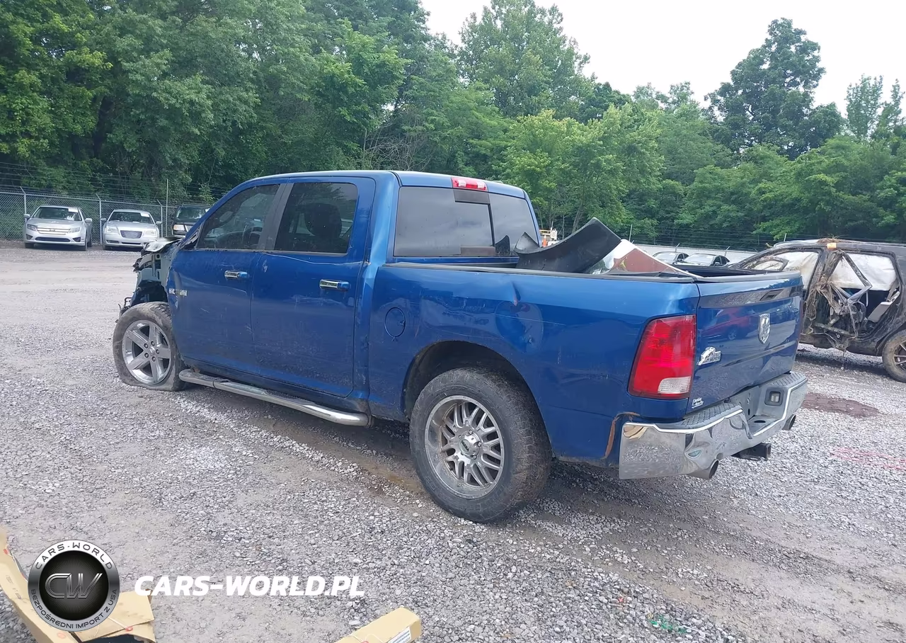 2010 Dodge Ram 1500 Slt-Sport-Trx VIN:1D7RB1CT0AS118154 - 3