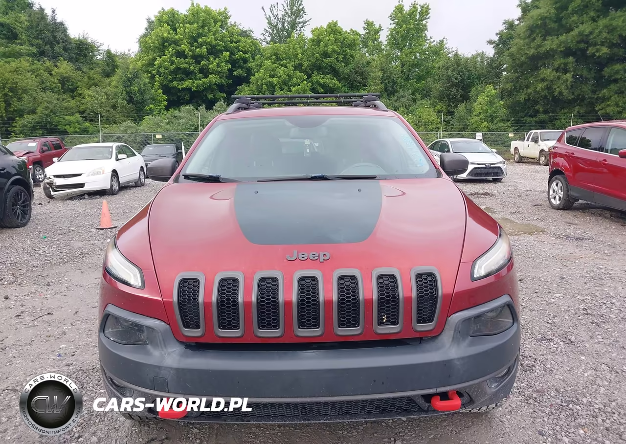 2016 Jeep Cherokee Trailhawk VIN:1C4PJMBS1GW120799 - 12