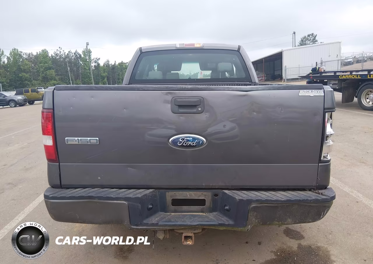 2006 Ford F-150 Stx-Xl-Xlt VIN:1FTRX12W76KB95554 - 19