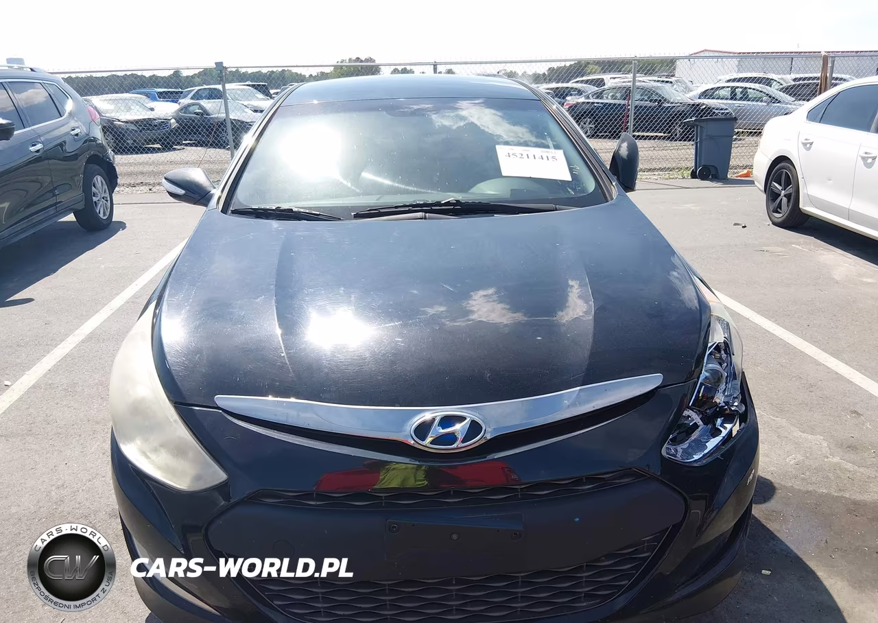 2014 Hyundai Sonata Hybrid VIN:KMHEC4A45EA116667 - 12