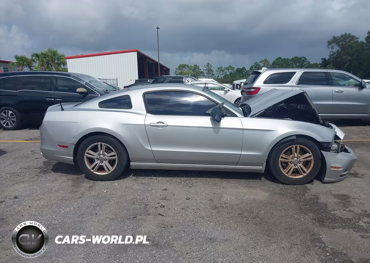 2013 Ford Mustang V6 VIN:1ZVBP8AM9D5246023 - 13