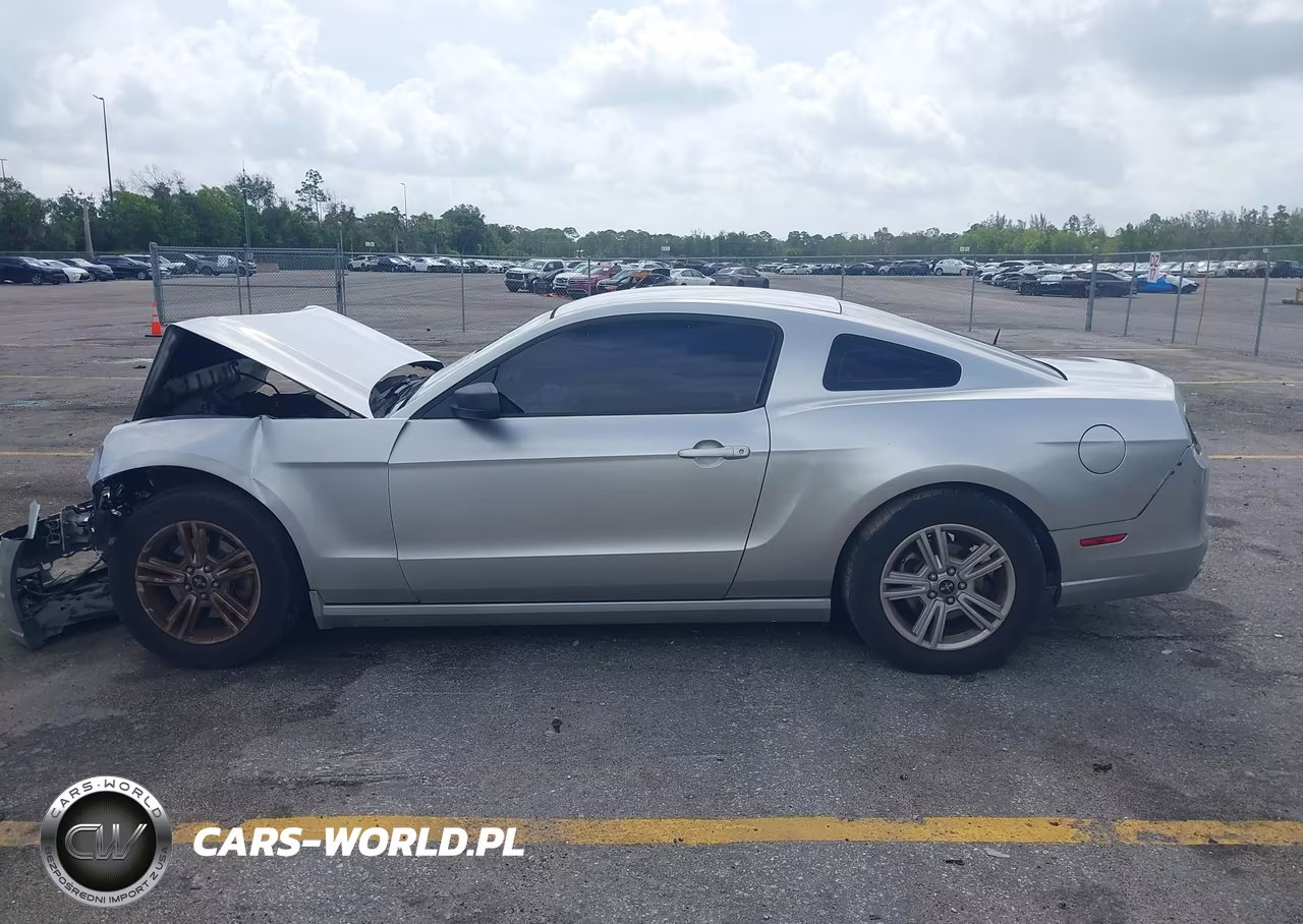 2013 Ford Mustang V6 VIN:1ZVBP8AM9D5246023 - 14