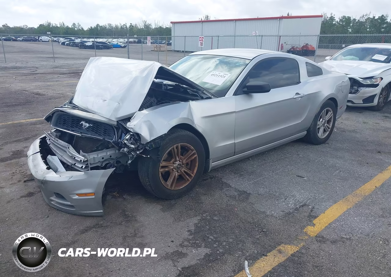 2013 Ford Mustang V6 VIN:1ZVBP8AM9D5246023 - 2