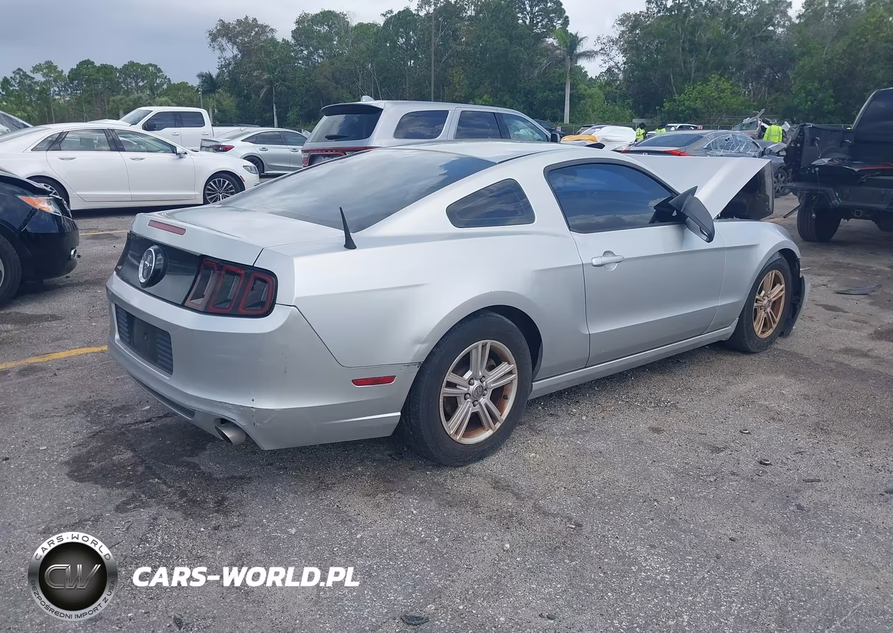 2013 Ford Mustang V6 VIN:1ZVBP8AM9D5246023 - 4