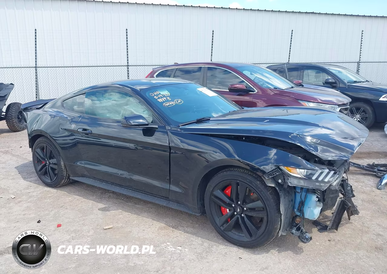 2016 Ford Mustang Ecoboost VIN:1FA6P8TH0G5303420 - 14