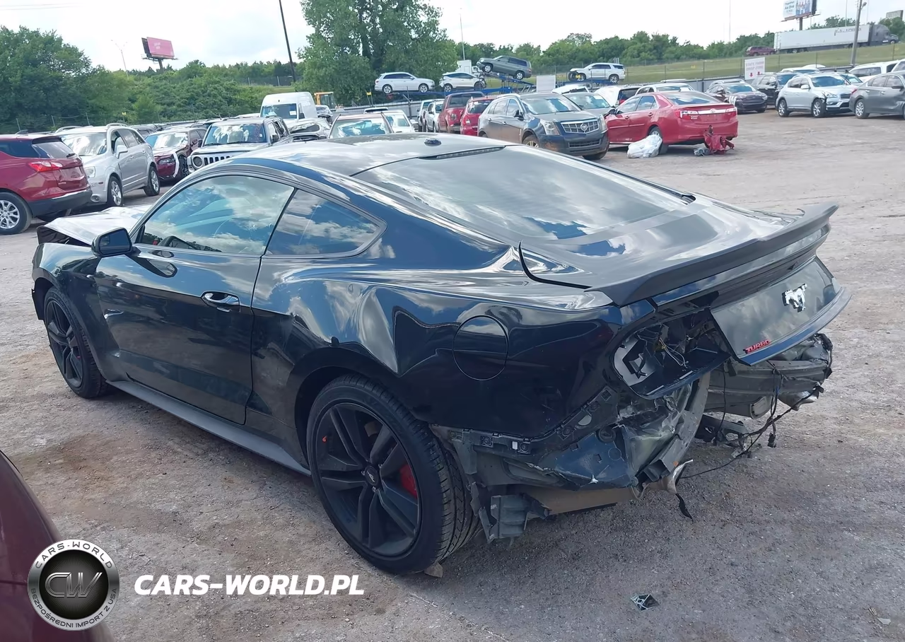 2016 Ford Mustang Ecoboost VIN:1FA6P8TH0G5303420 - 15