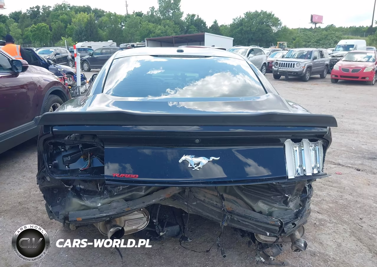 2016 Ford Mustang Ecoboost VIN:1FA6P8TH0G5303420 - 17