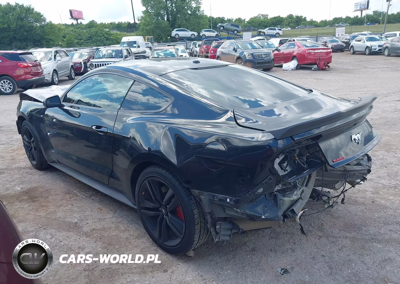 2016 Ford Mustang Ecoboost VIN:1FA6P8TH0G5303420 - 3