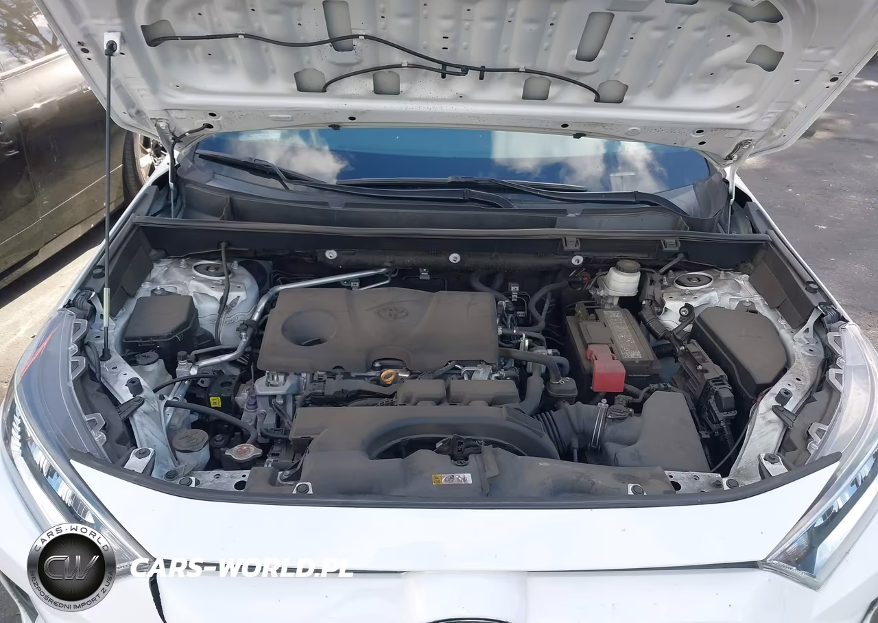 2019 Toyota Rav4 Xle VIN:2T3W1RFV4KW047738 - 10