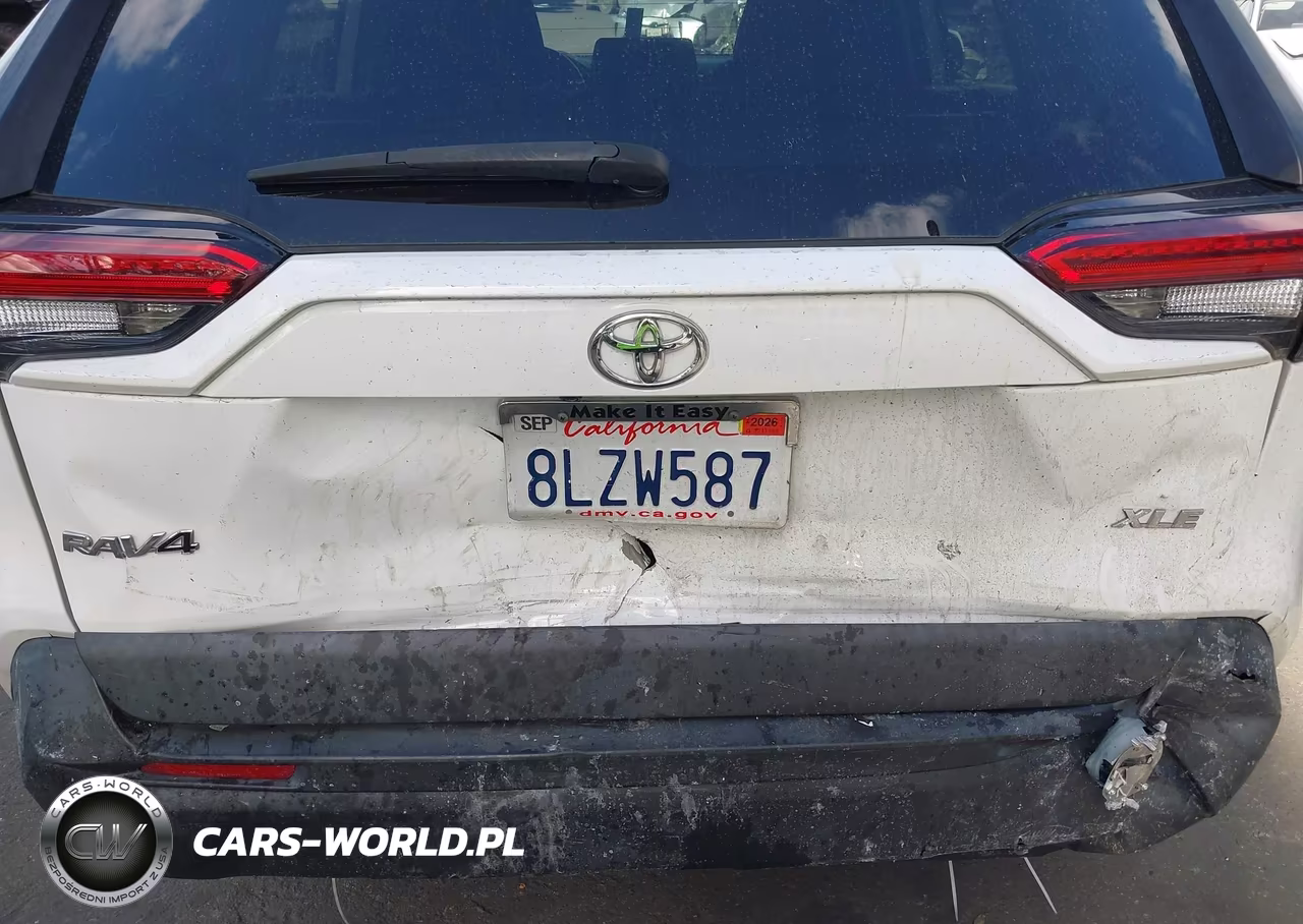2019 Toyota Rav4 Xle VIN:2T3W1RFV4KW047738 - 19