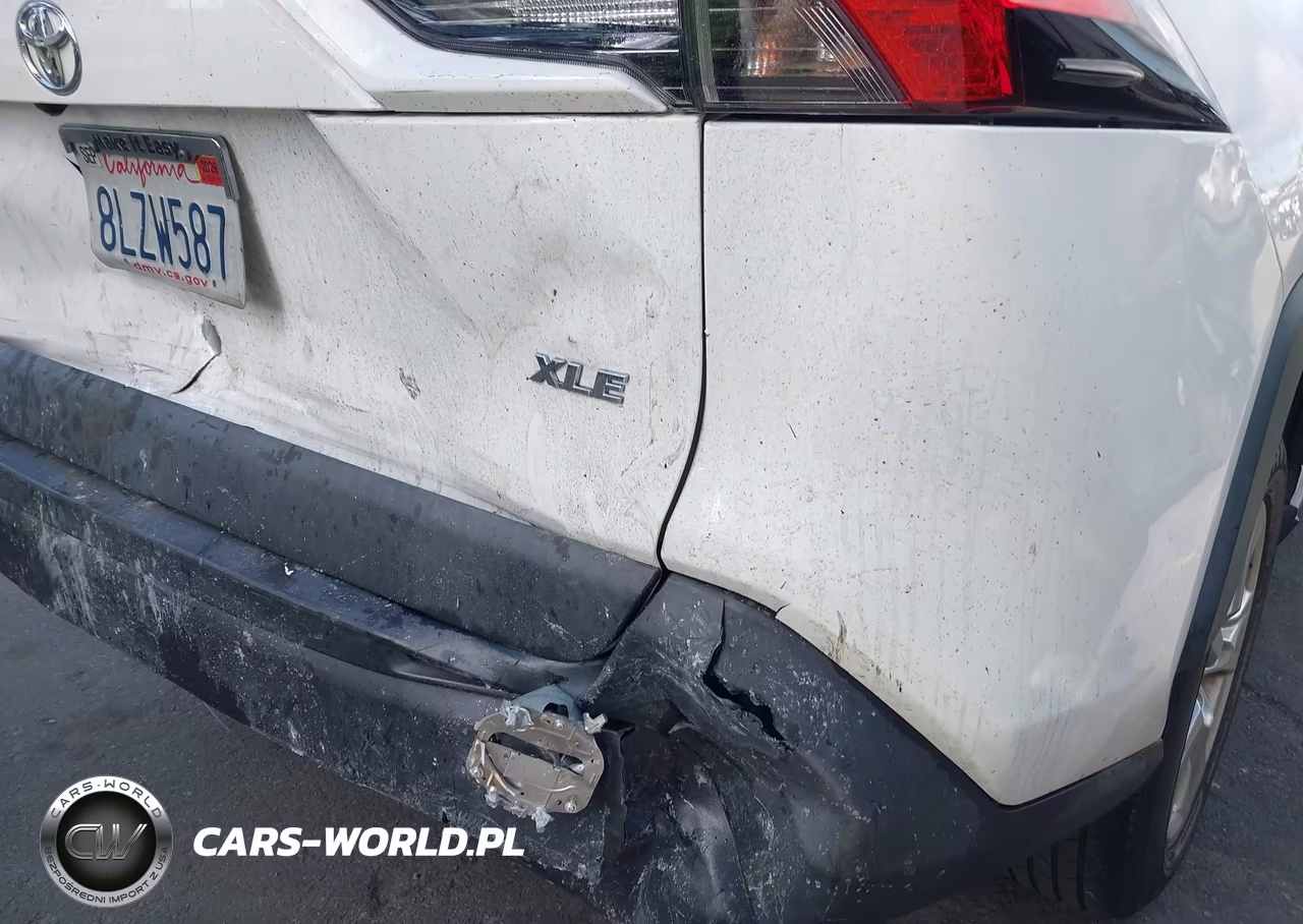 2019 Toyota Rav4 Xle VIN:2T3W1RFV4KW047738 - 20