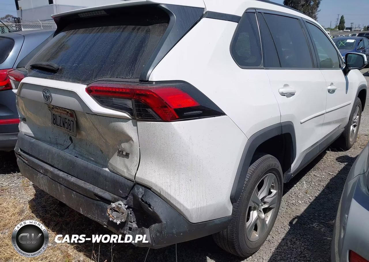 2019 Toyota Rav4 Xle VIN:2T3W1RFV4KW047738 - 4