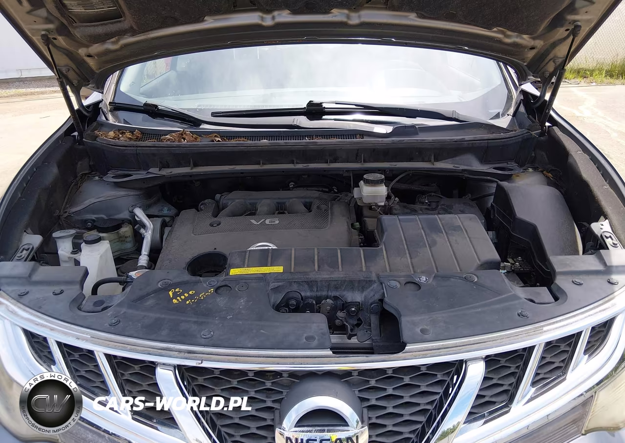 2014 Nissan Murano S VIN:JN8AZ1MU2EW415567 - 10
