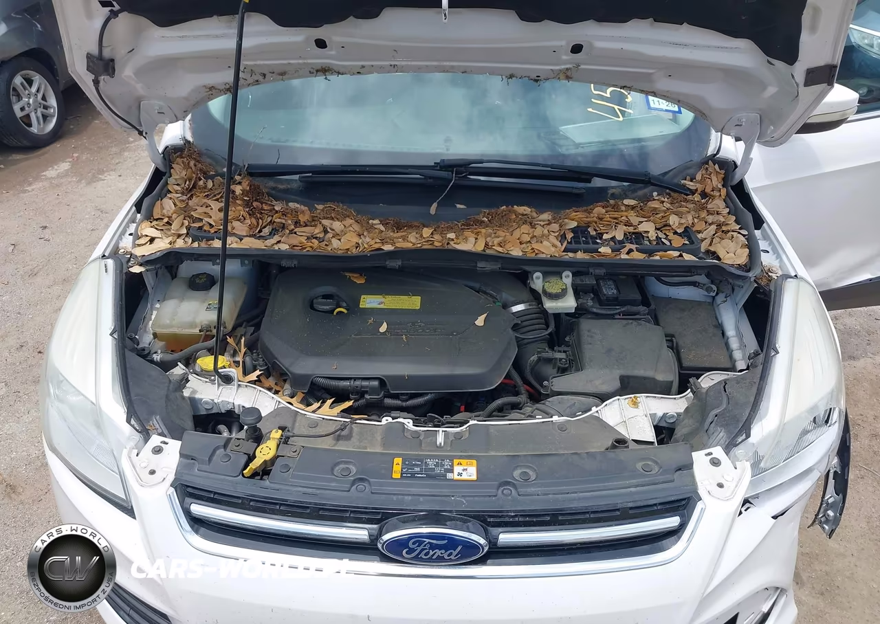 2013 Ford Escape Sel VIN:1FMCU0HX6DUD68647 - 10