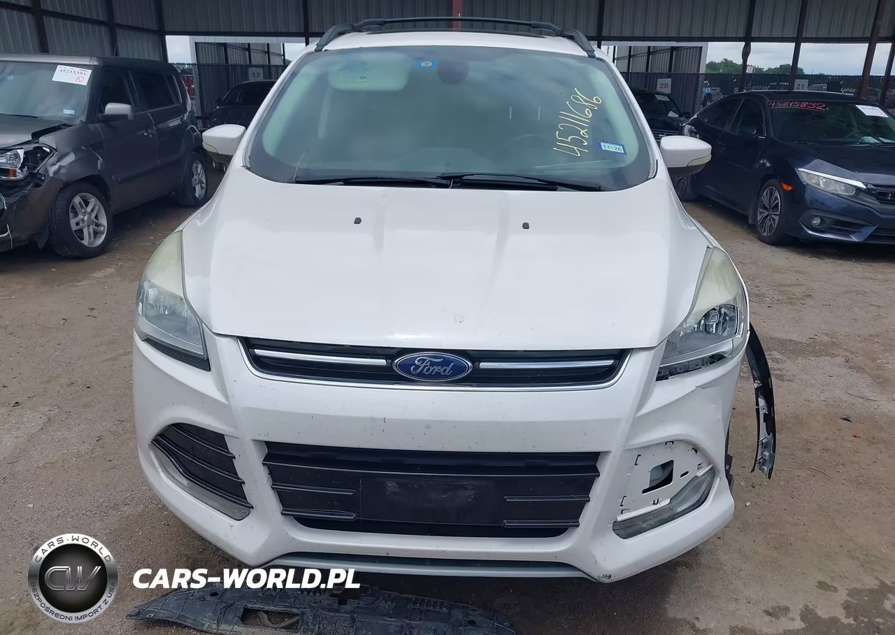 2013 Ford Escape Sel VIN:1FMCU0HX6DUD68647 - 12