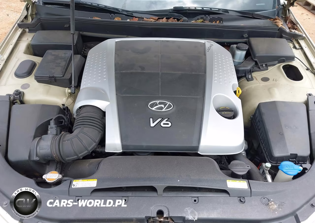 2009 Hyundai Genesis 3.8 VIN:KMHGC46EX9U033508 - 10