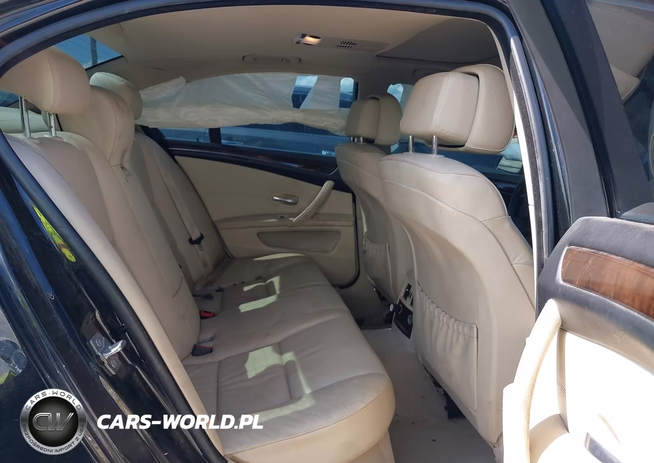 2010 BMW 528I VIN:WBANU5C55AC366337 - 8
