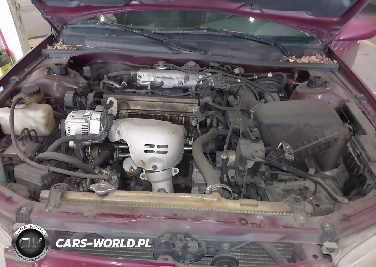 1997 Toyota Camry Le VIN:JT2BG22K6V0004391 - 10