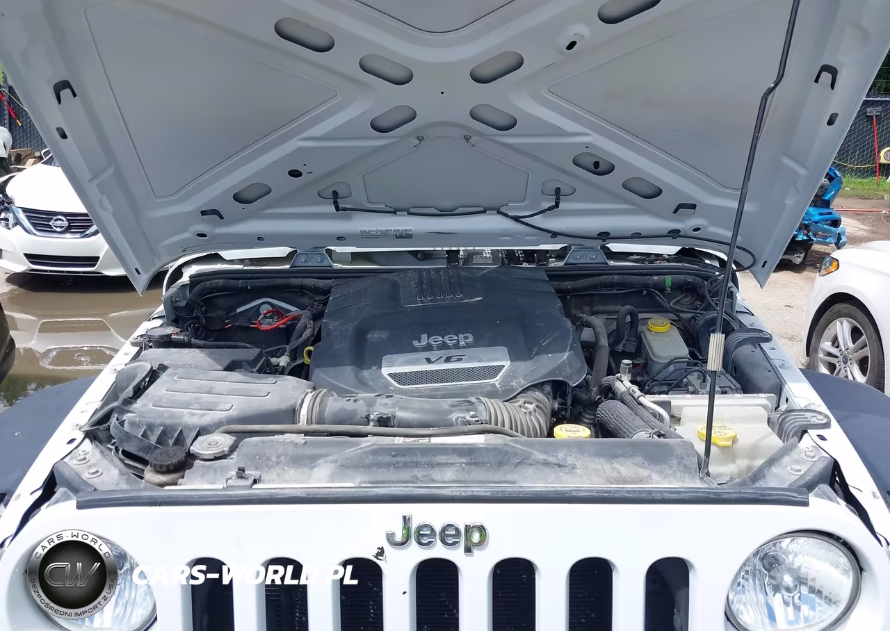 2015 Jeep Wrangler Unlimited Sport VIN:1C4BJWDG4FL509922 - 10