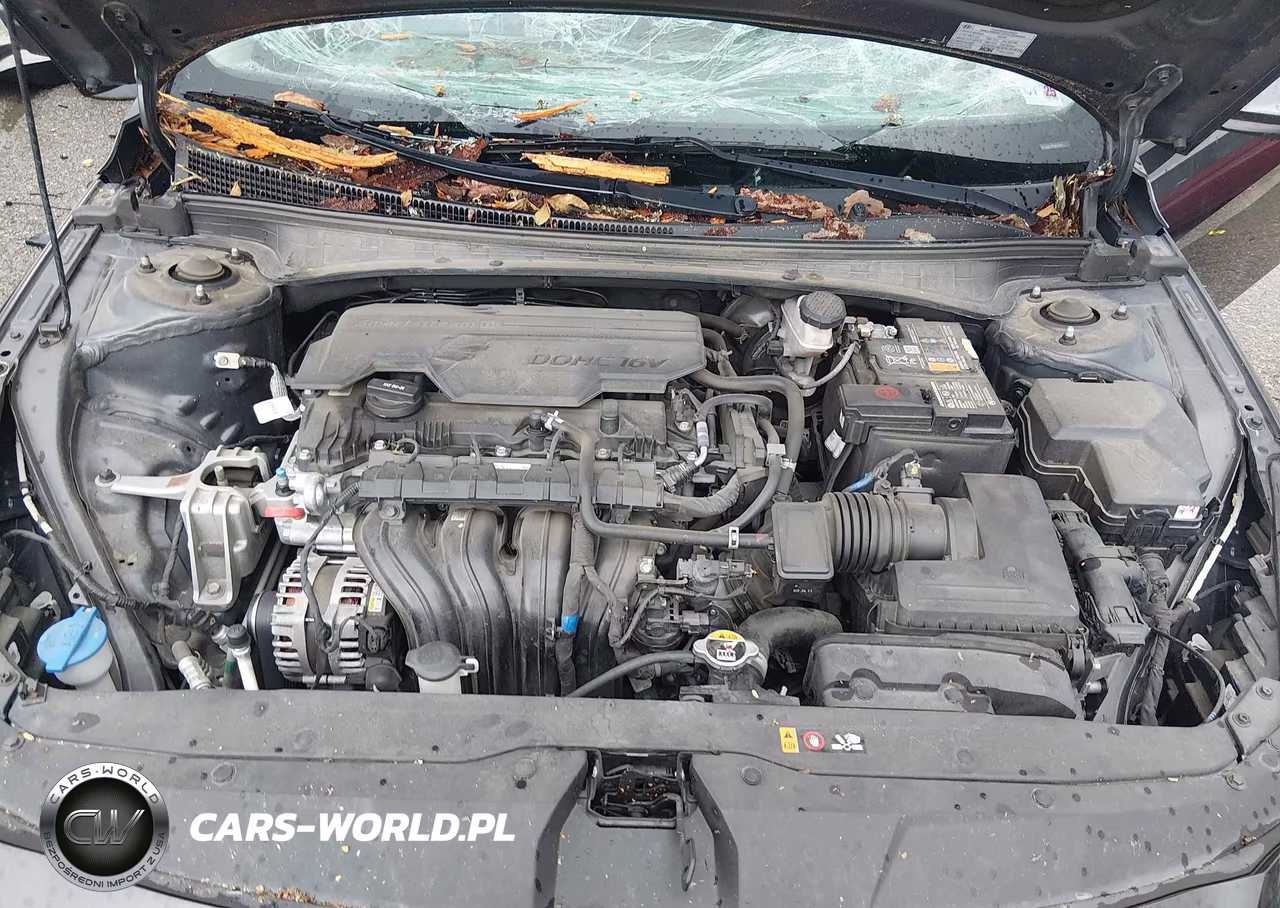 2023 Hyundai Elantra Sel VIN:5NPLS4AG8PH103299 - 10