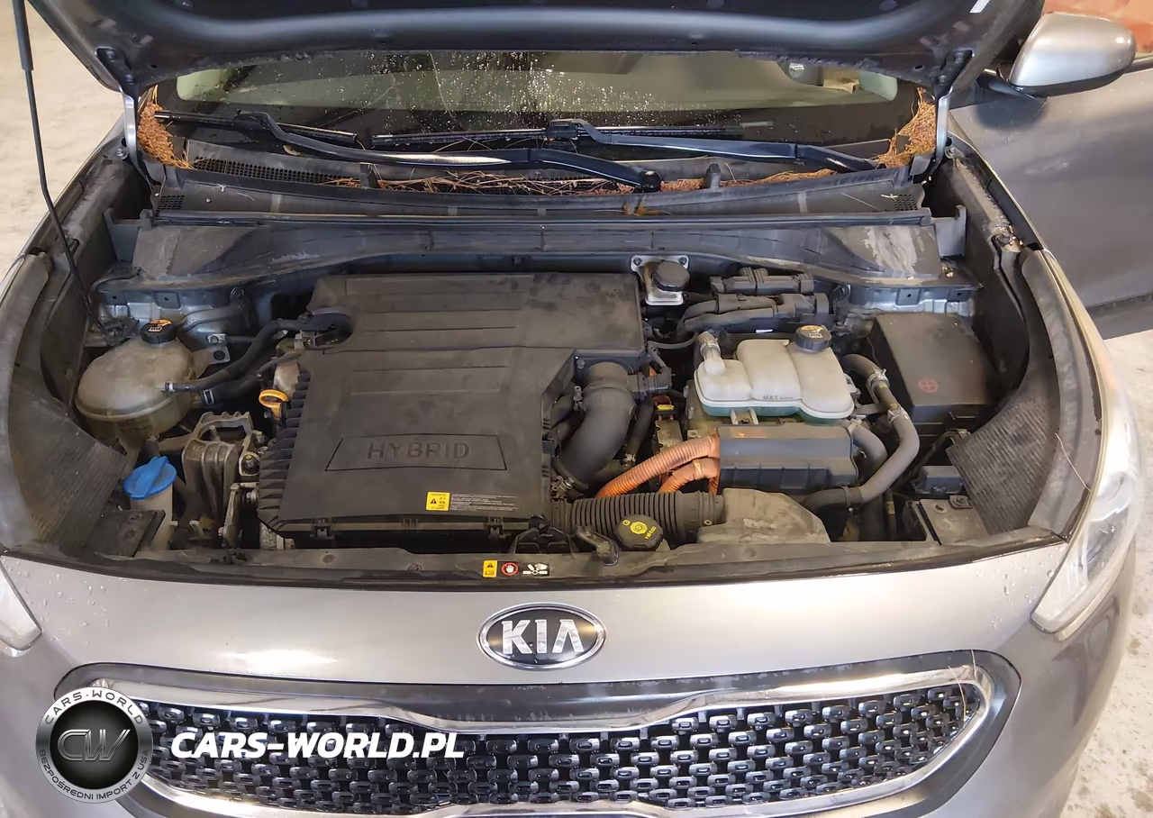 2017 Kia Niro Lx VIN:KNDCB3LC5H5098665 - 10