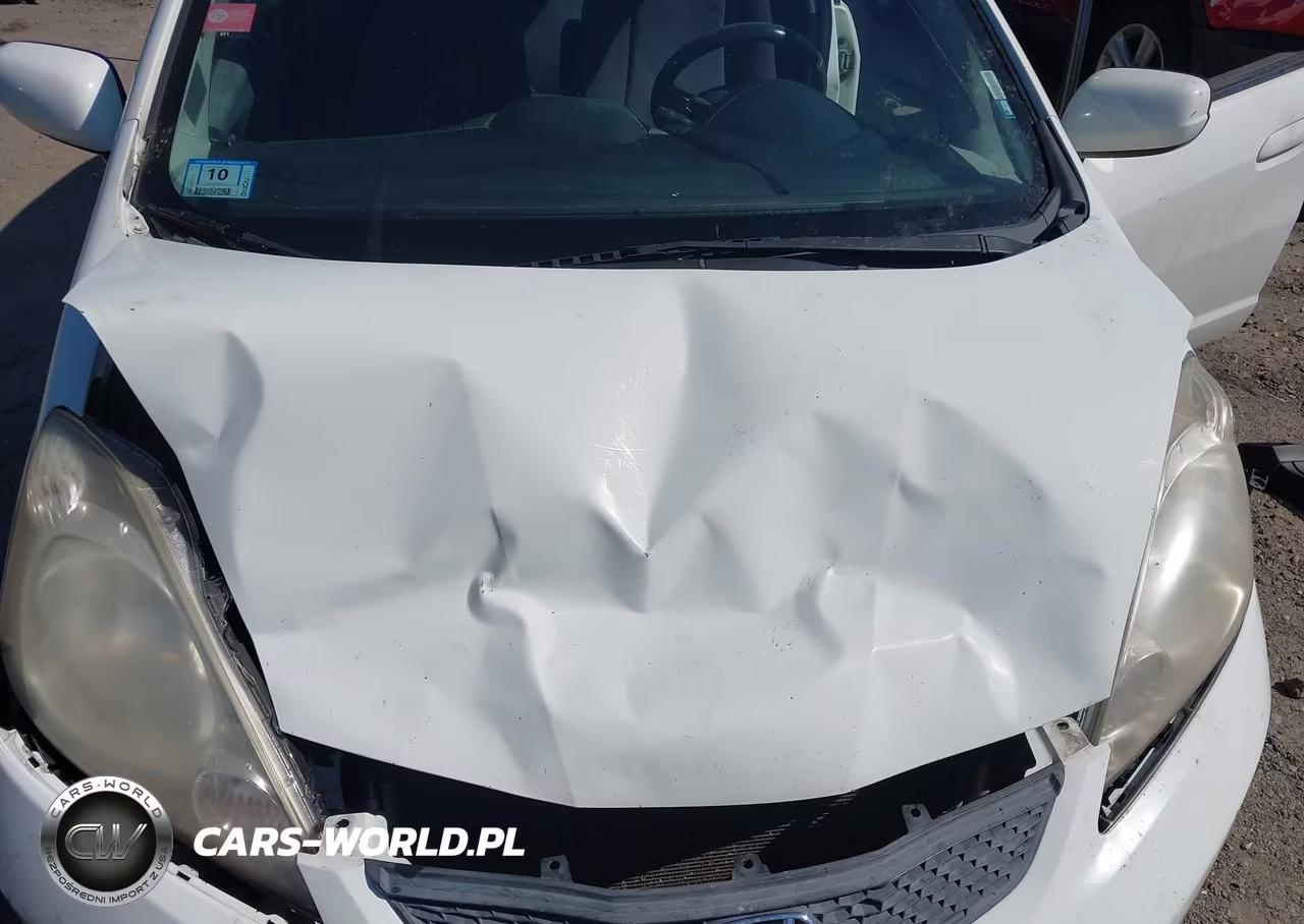 2010 Honda Fit Sport VIN:JHMGE8H40AC005946 - 14
