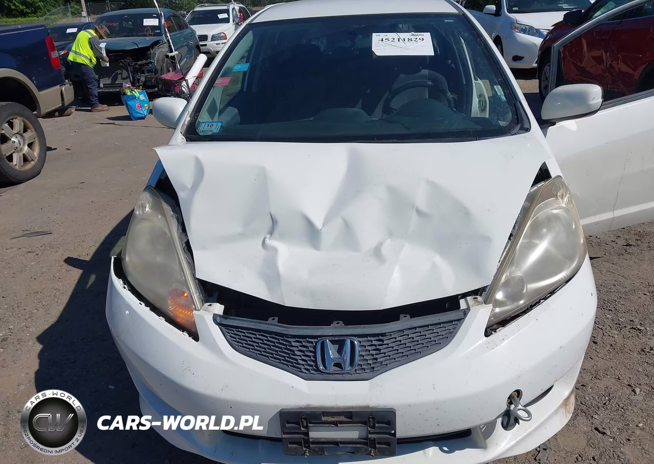 2010 Honda Fit Sport VIN:JHMGE8H40AC005946 - 6