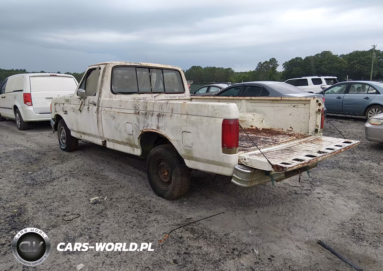 1987 Ford F150 VIN:1FTDF15Y6HPA56659 - 3