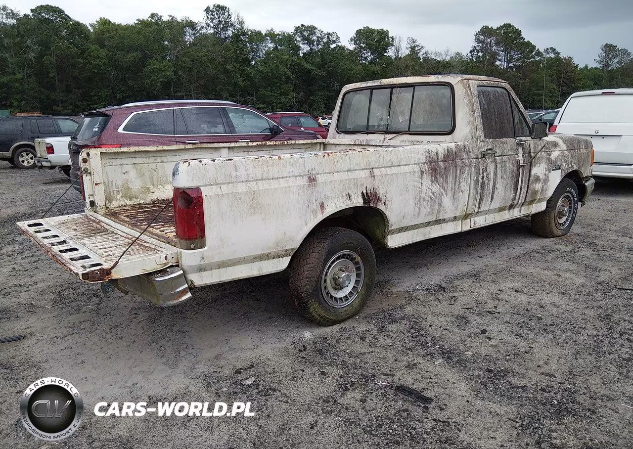 1987 Ford F150 VIN:1FTDF15Y6HPA56659 - 4