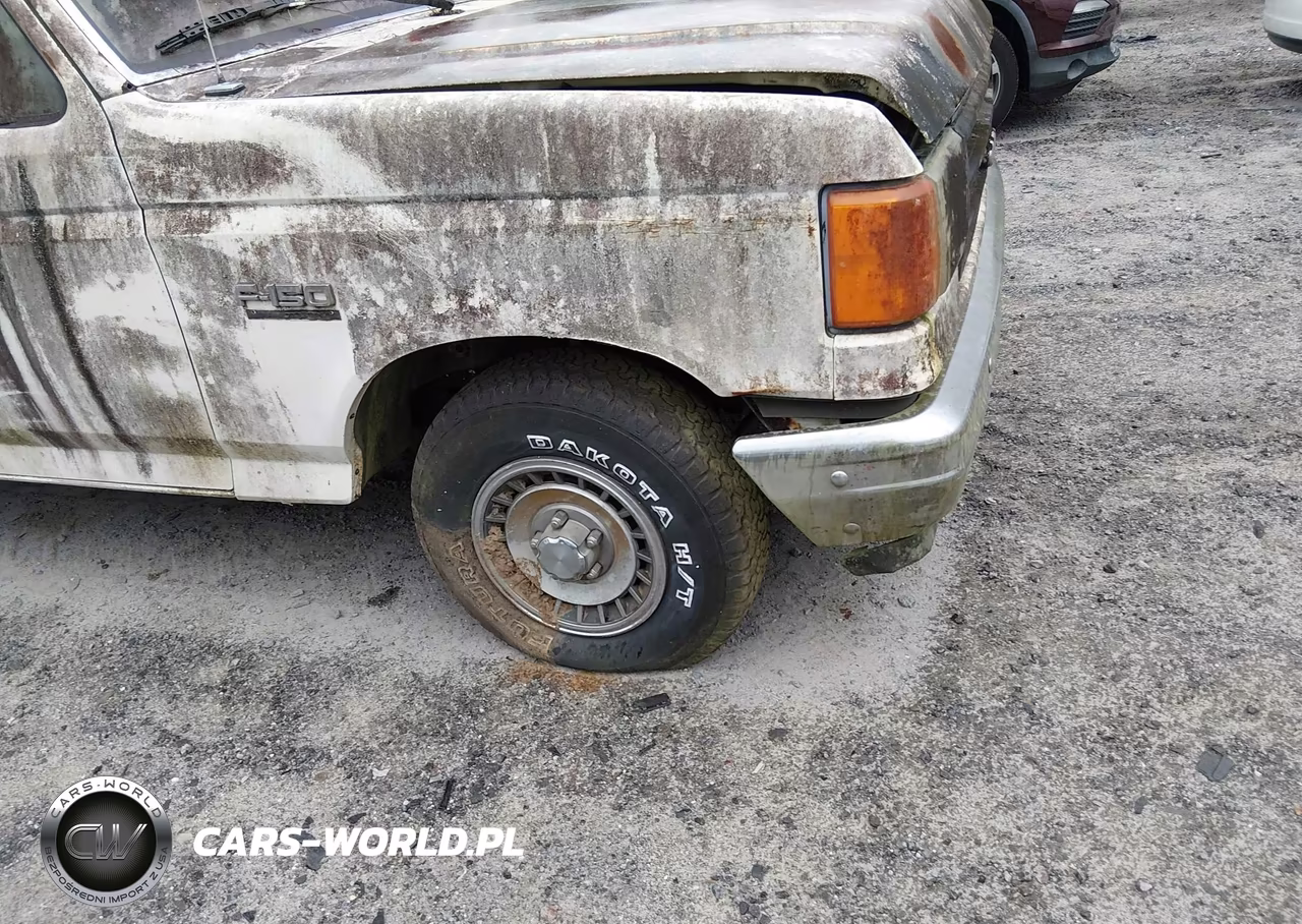 1987 Ford F150 VIN:1FTDF15Y6HPA56659 - 6