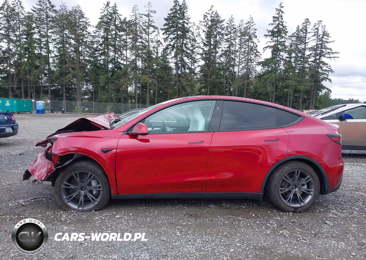 2025 Tesla Model Y Long Range Dual Motor All-Wheel Drive VIN:7SAYGDEE0SF280360 - 14