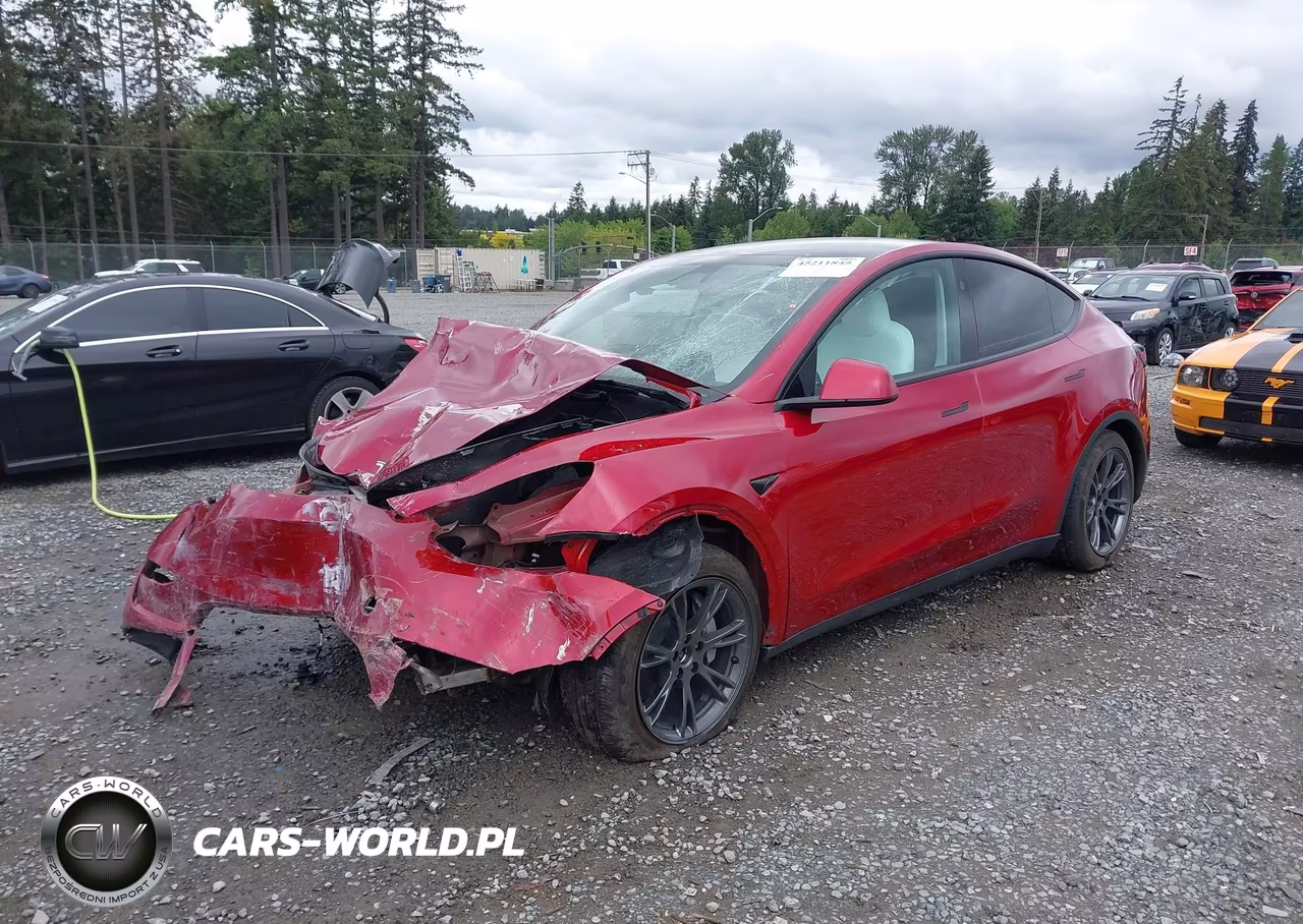 2025 Tesla Model Y Long Range Dual Motor All-Wheel Drive VIN:7SAYGDEE0SF280360 - 2