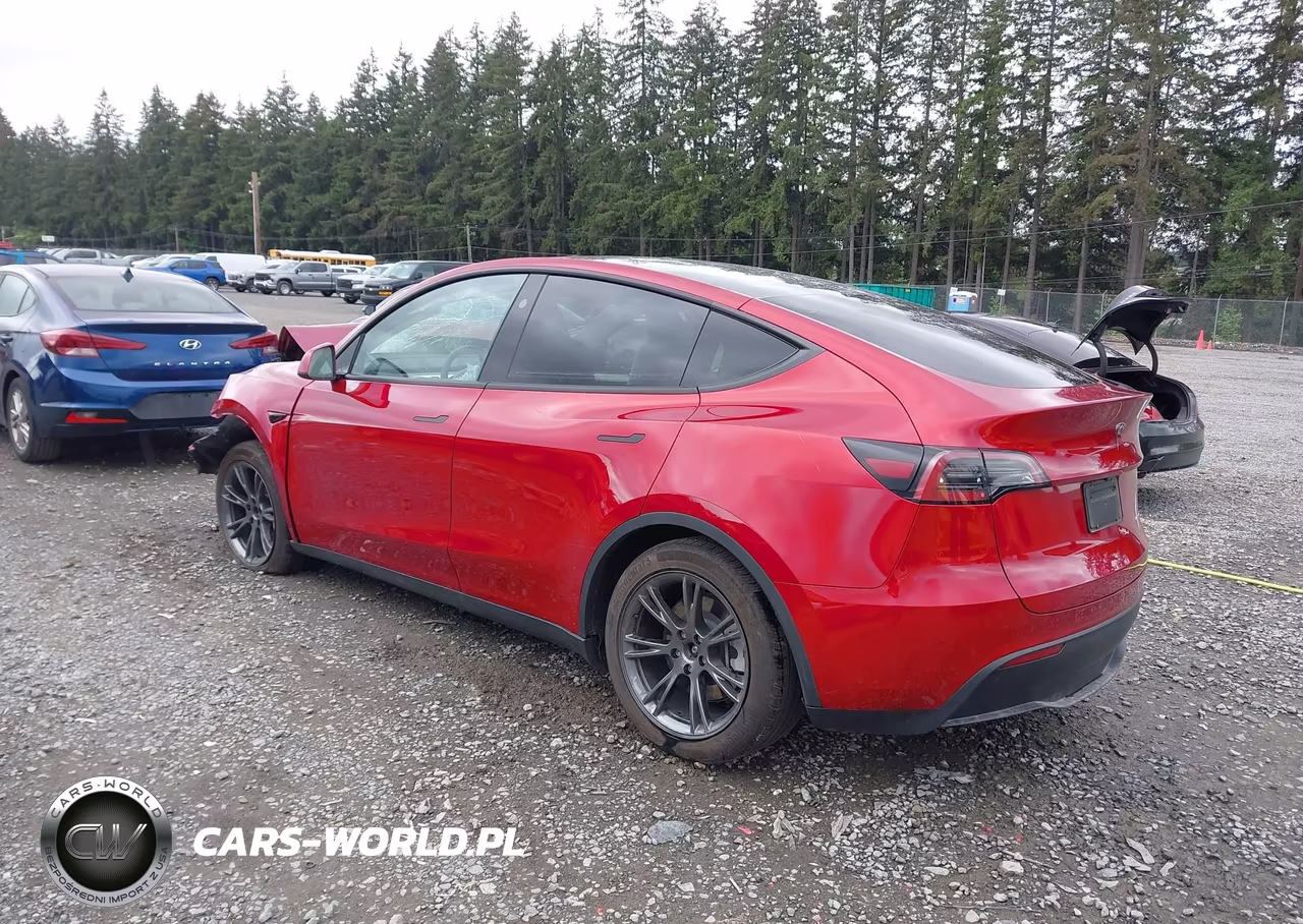 2025 Tesla Model Y Long Range Dual Motor All-Wheel Drive VIN:7SAYGDEE0SF280360 - 3