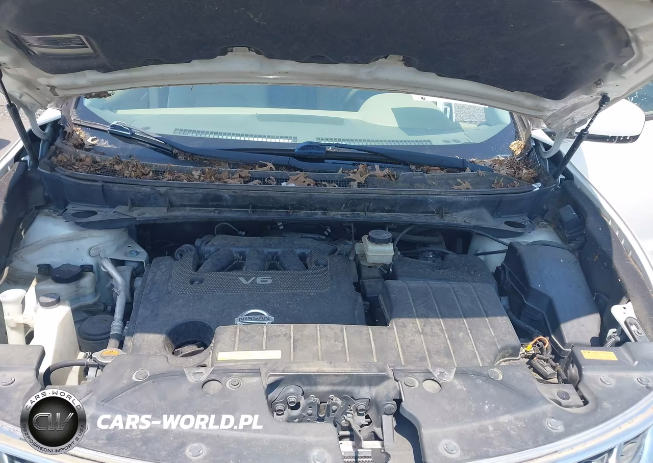 2014 Nissan Murano Le VIN:JN8AZ1MU3EW404187 - 10
