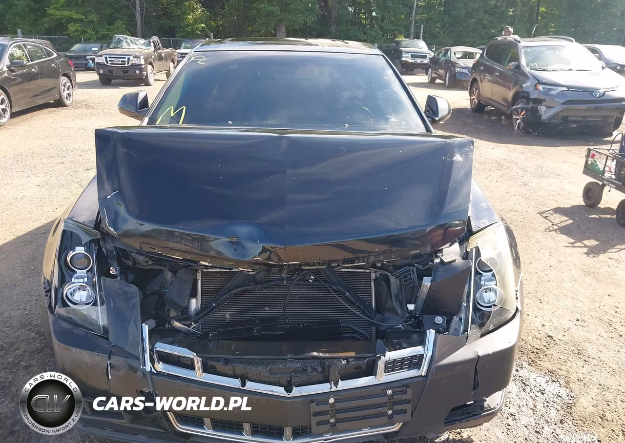 2013 Cadillac Cts Luxury VIN:1G6DE5E58D0150337 - 12