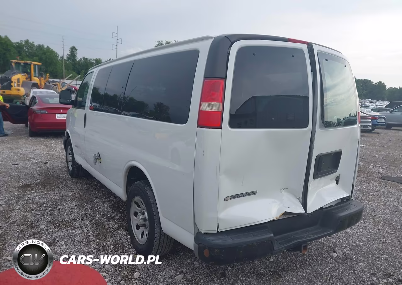 2010 Chevrolet Express G1500 VIN:1GCUGADX0A1123254 - 3