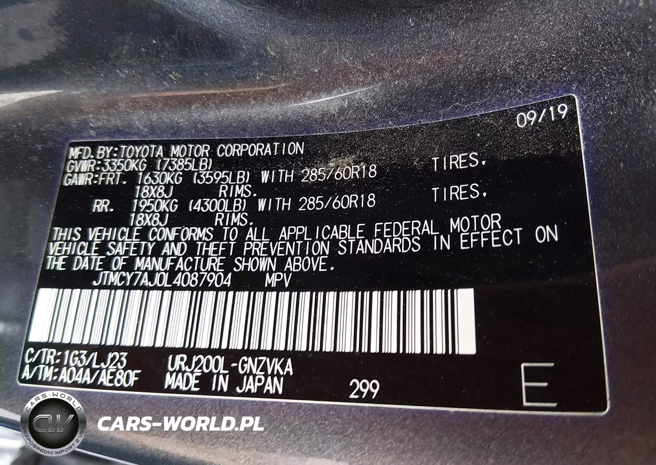 2020 Toyota Land Cruiser VIN:JTMCY7AJ0L4087904 - 9