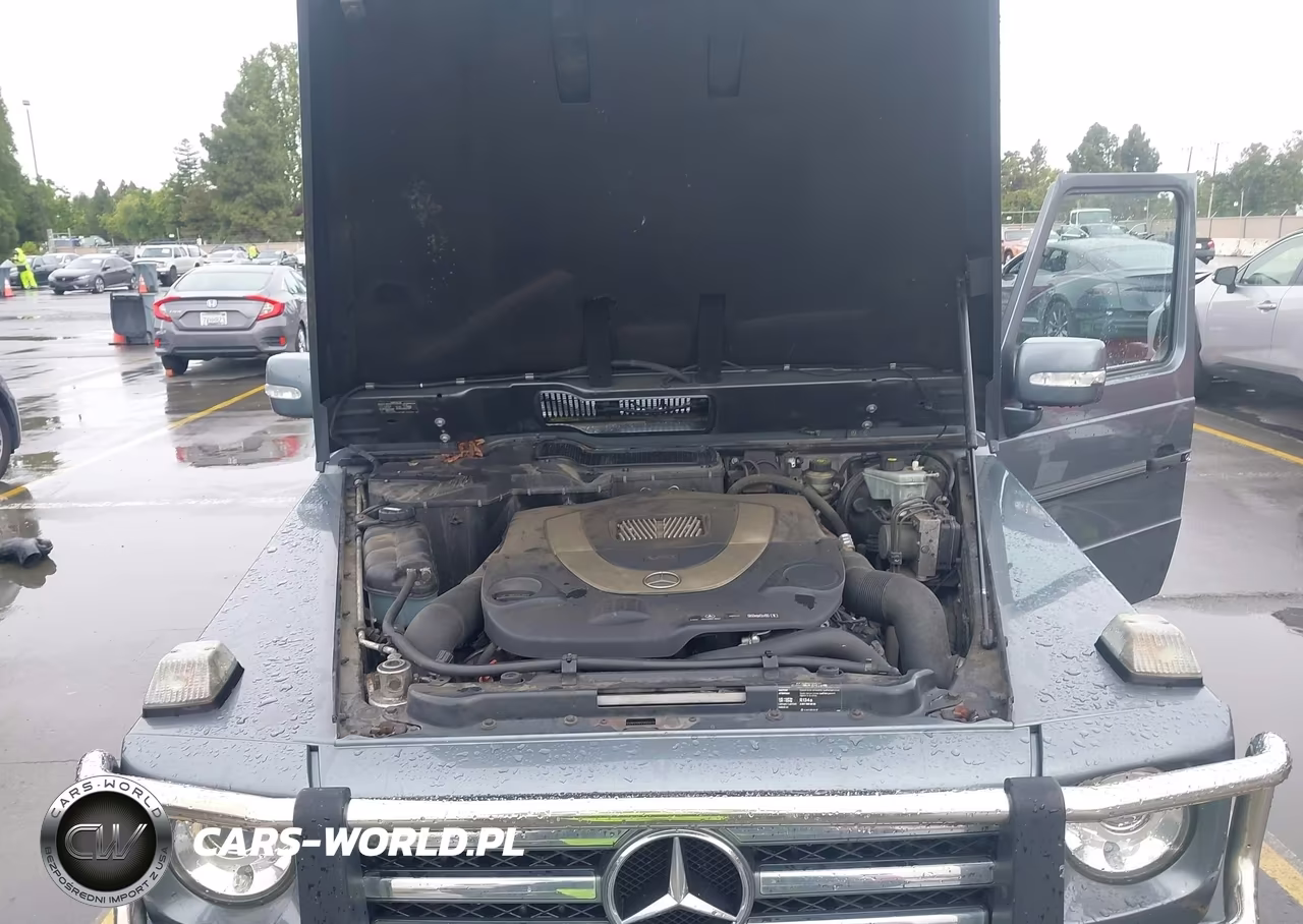 2010 Mercedes-Benz G 550 4Matic VIN:WDCYC3HF8AX184269 - 10