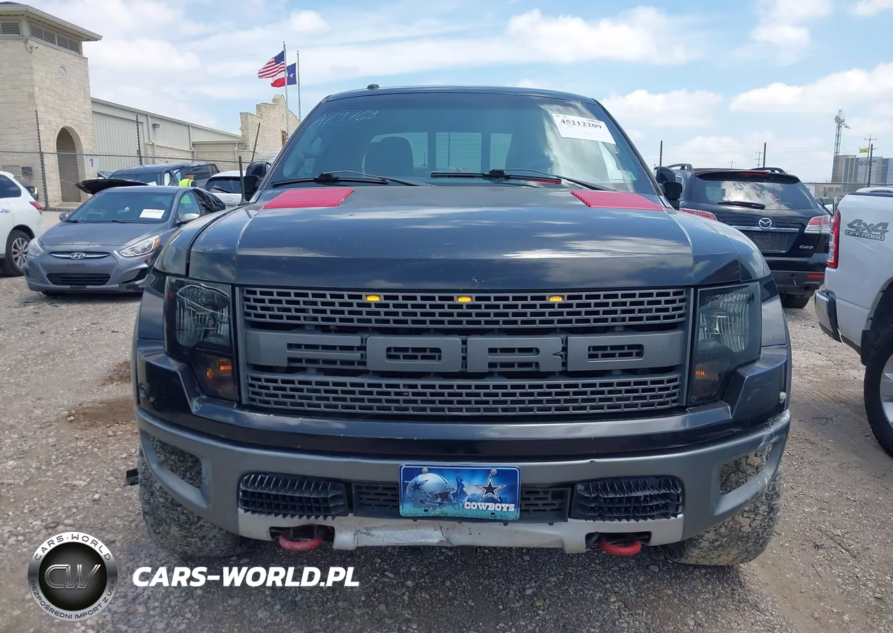 2010 Ford F-150 Svt Raptor VIN:1FTEX1EV4AFA29768 - 12