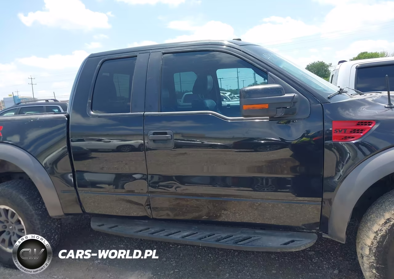 2010 Ford F-150 Svt Raptor VIN:1FTEX1EV4AFA29768 - 13