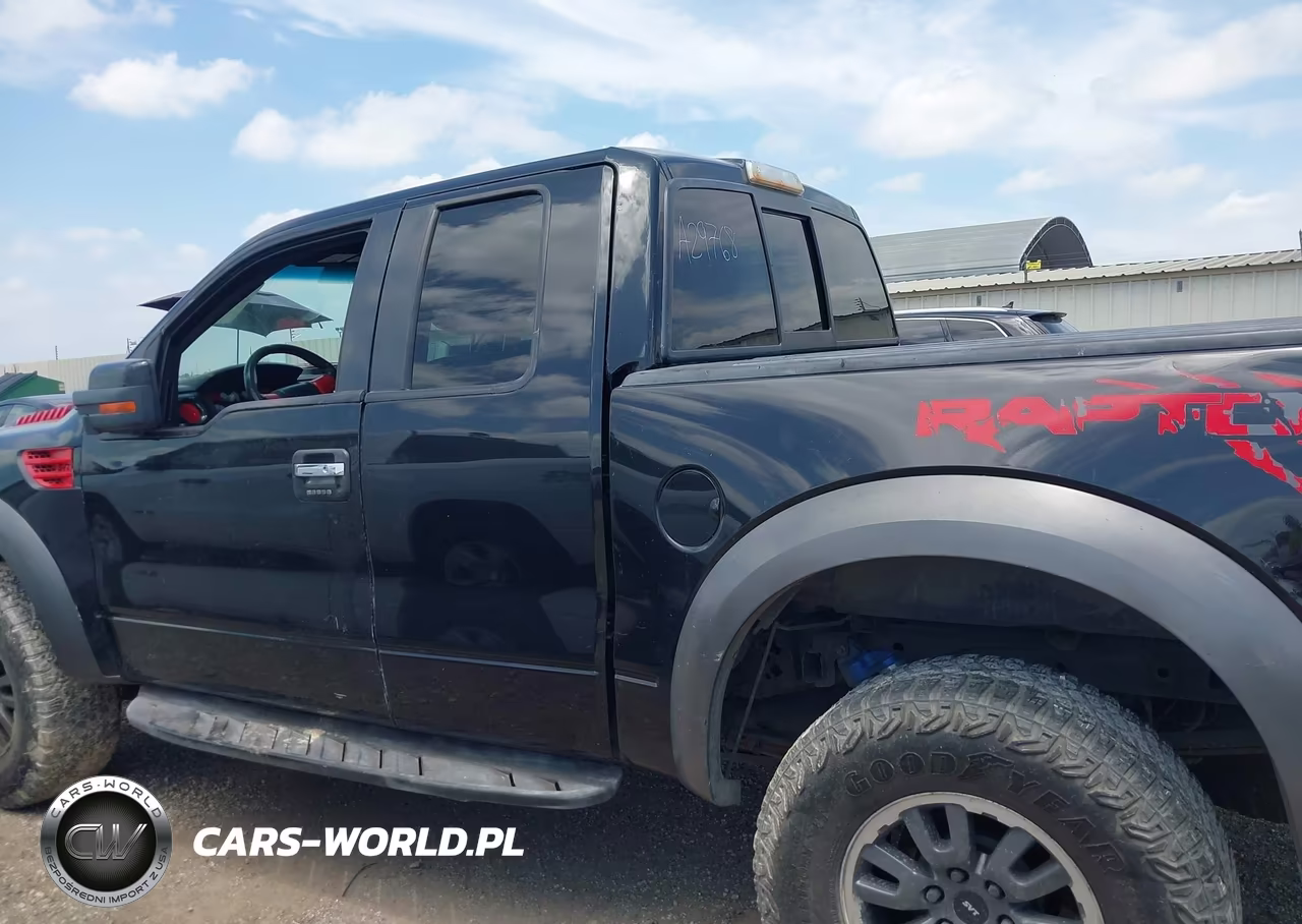 2010 Ford F-150 Svt Raptor VIN:1FTEX1EV4AFA29768 - 14
