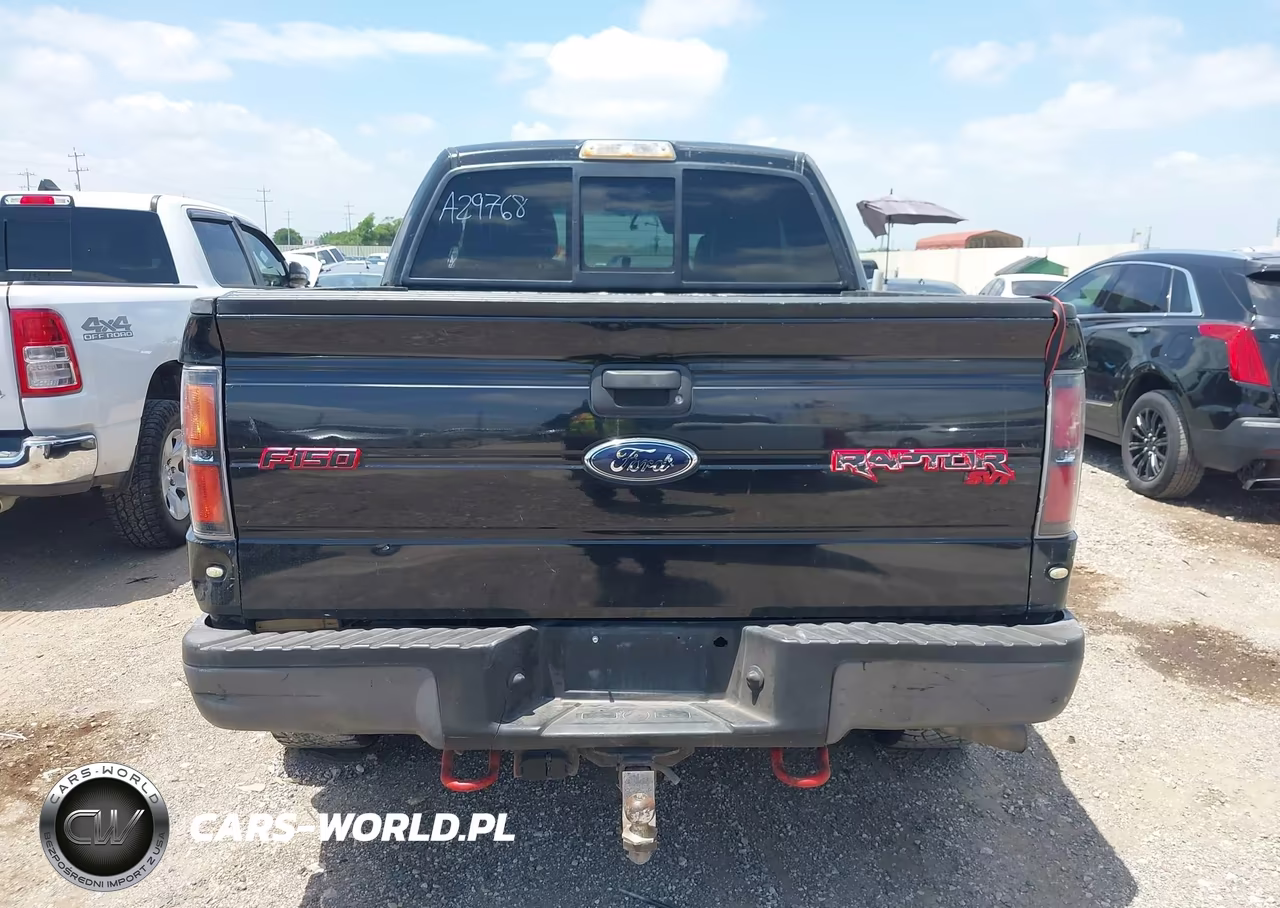 2010 Ford F-150 Svt Raptor VIN:1FTEX1EV4AFA29768 - 16