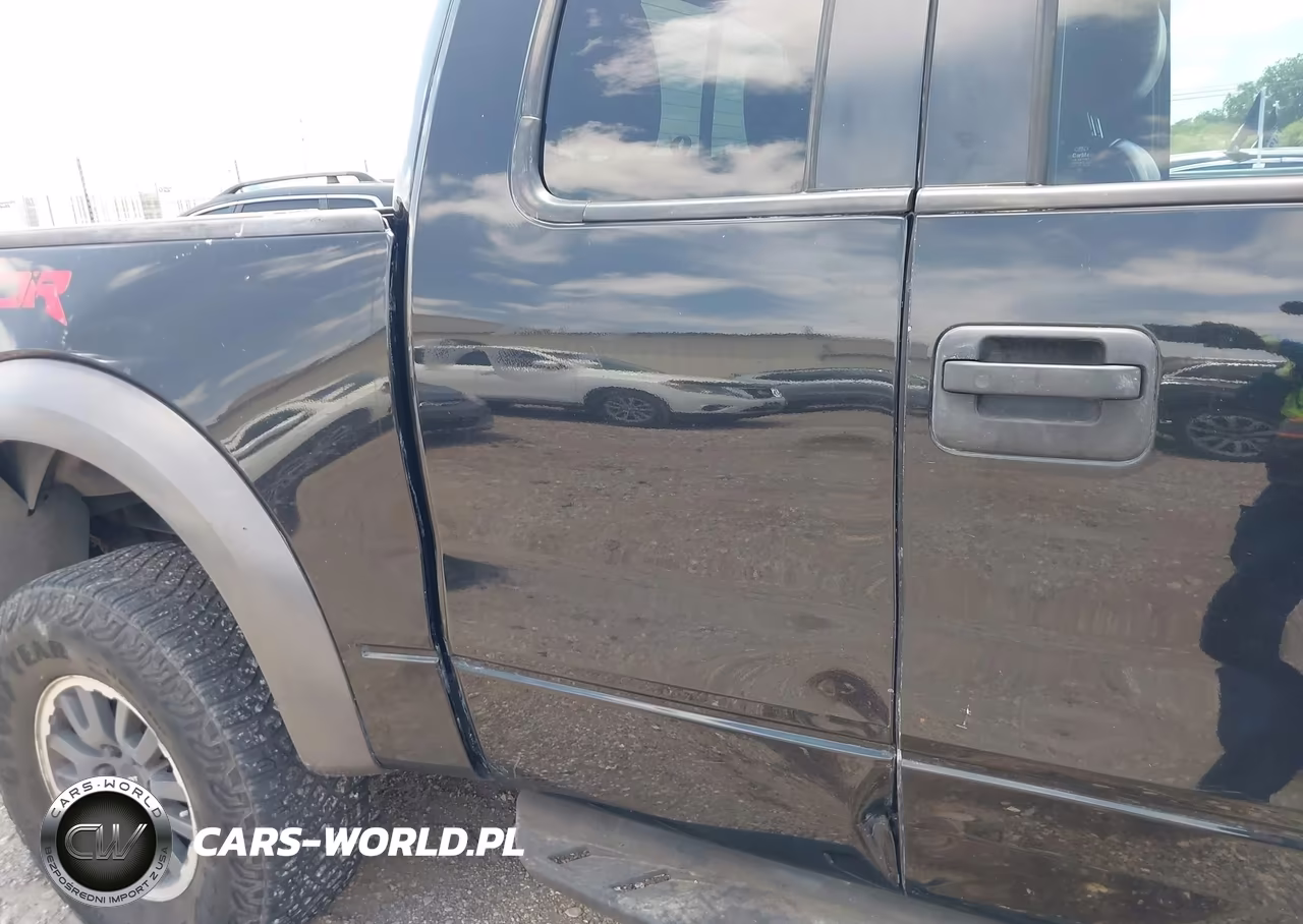 2010 Ford F-150 Svt Raptor VIN:1FTEX1EV4AFA29768 - 17