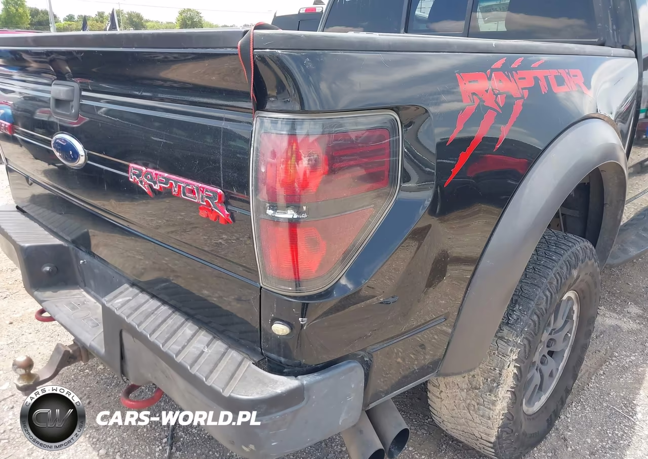 2010 Ford F-150 Svt Raptor VIN:1FTEX1EV4AFA29768 - 18