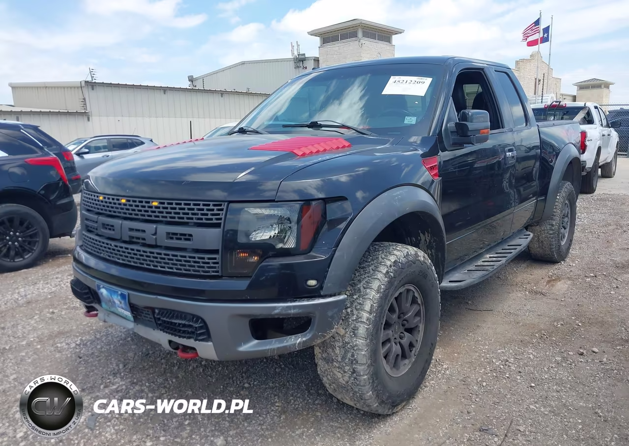 2010 Ford F-150 Svt Raptor VIN:1FTEX1EV4AFA29768 - 2